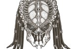 Predator_2_head_by_predatrhuntr